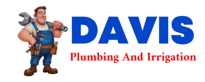 Trusted plumber in WOLF LAKE